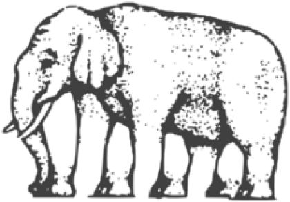 Elephant legs illusion variant of Roger Shepards Legsistential paradox